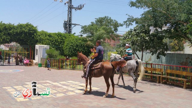 كفرقاسم - فيديو  : تعليم هواية ركوب الخيل في مدرسة جنة ابن رشد في اليوم الرابع لصيف الصادقة 